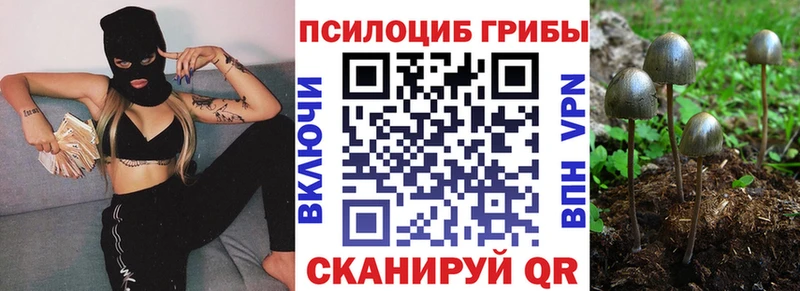 Галлюциногенные грибы прущие грибы  купить наркотик  Камешково 